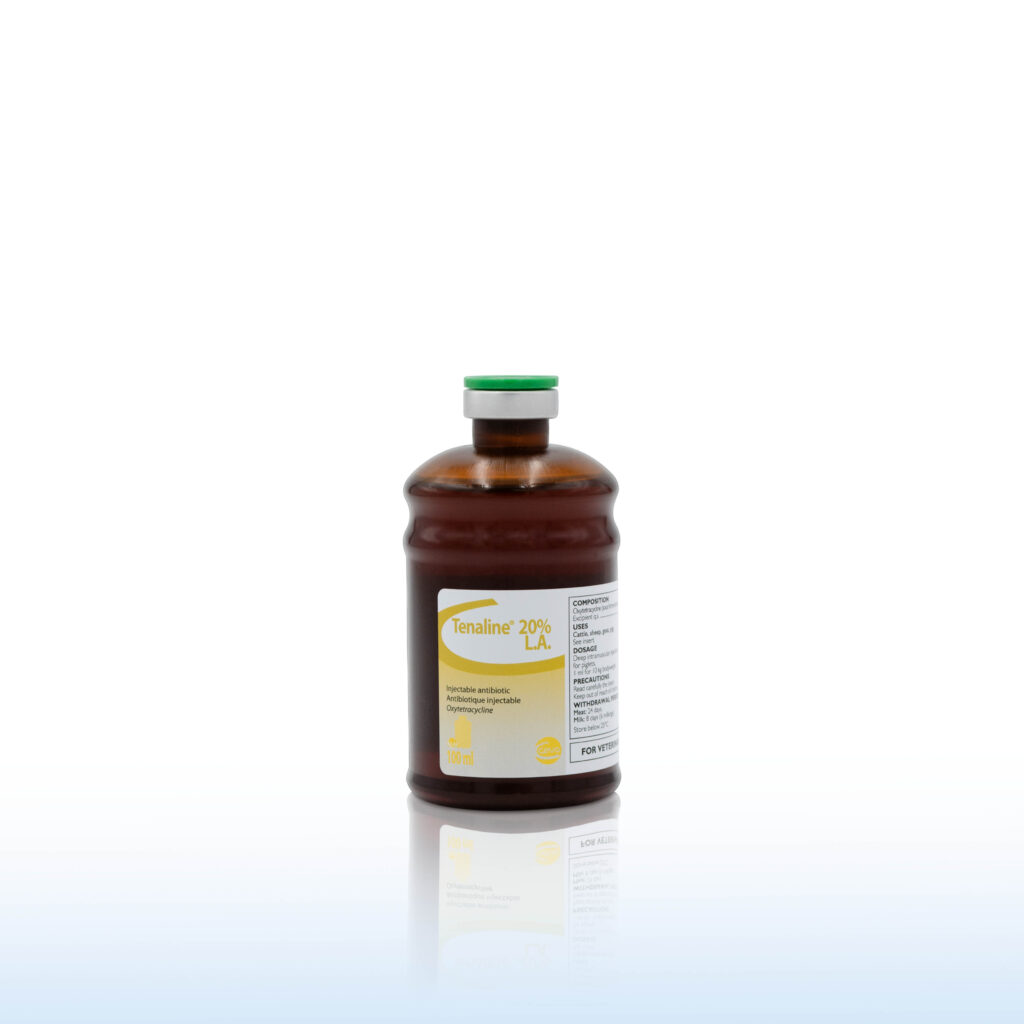 TENALINE 20% INJ 100 ML