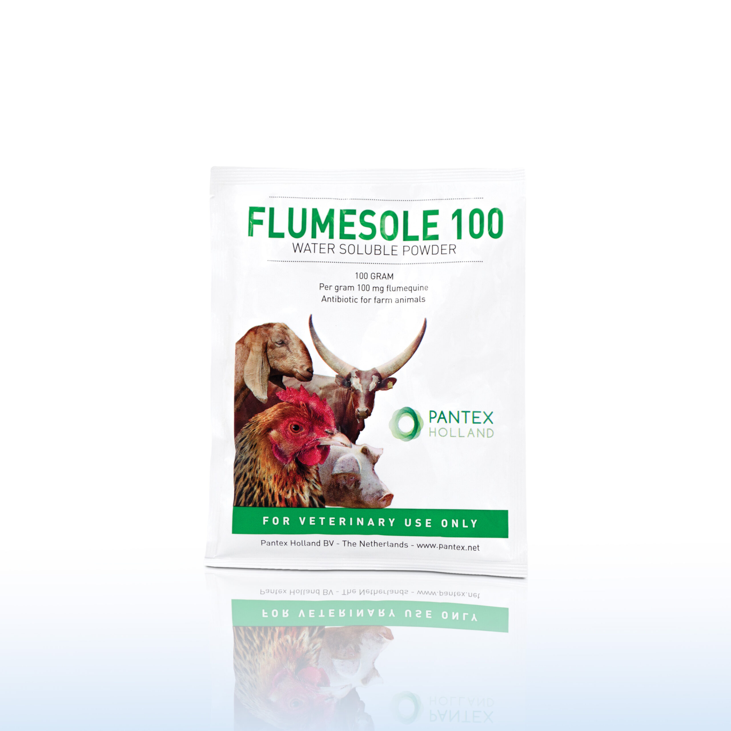FLUMESOLE 100 SACHET DE 100 G
