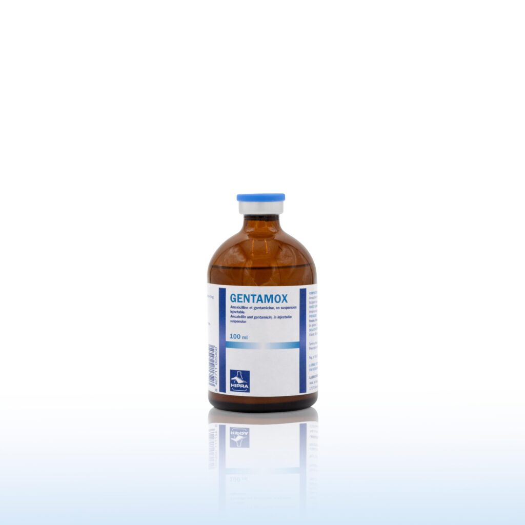 GENTAMOX 100 ML