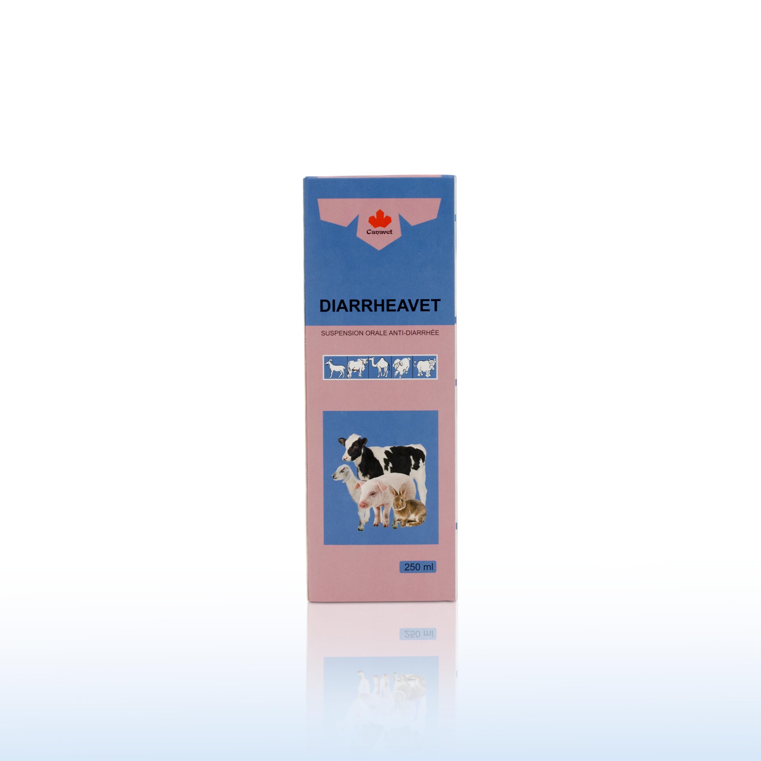 DIARRHEAVET 250 ML – Image 2