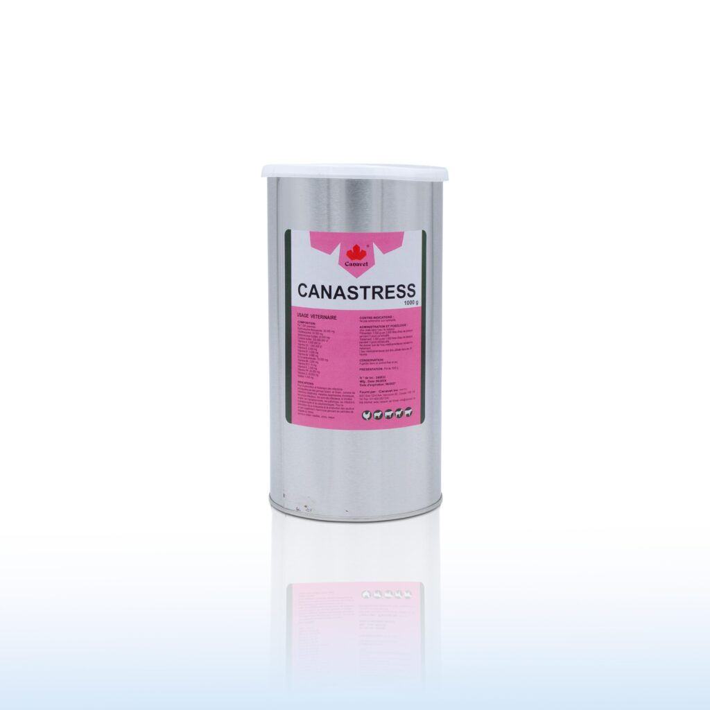 CANASTRESS 1 KG