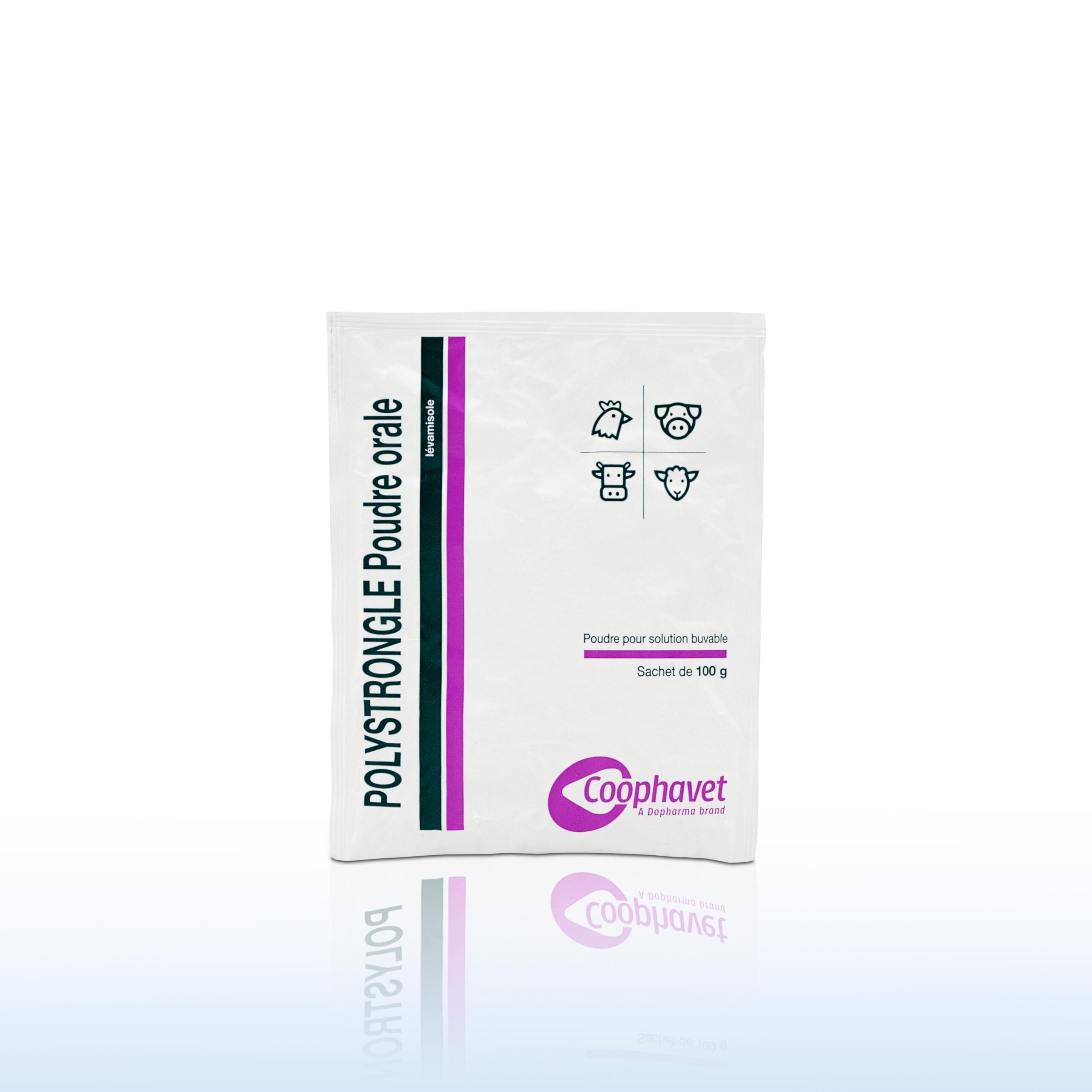 POLYSTRONGLE SOL ORAL 1 KG – Image 2