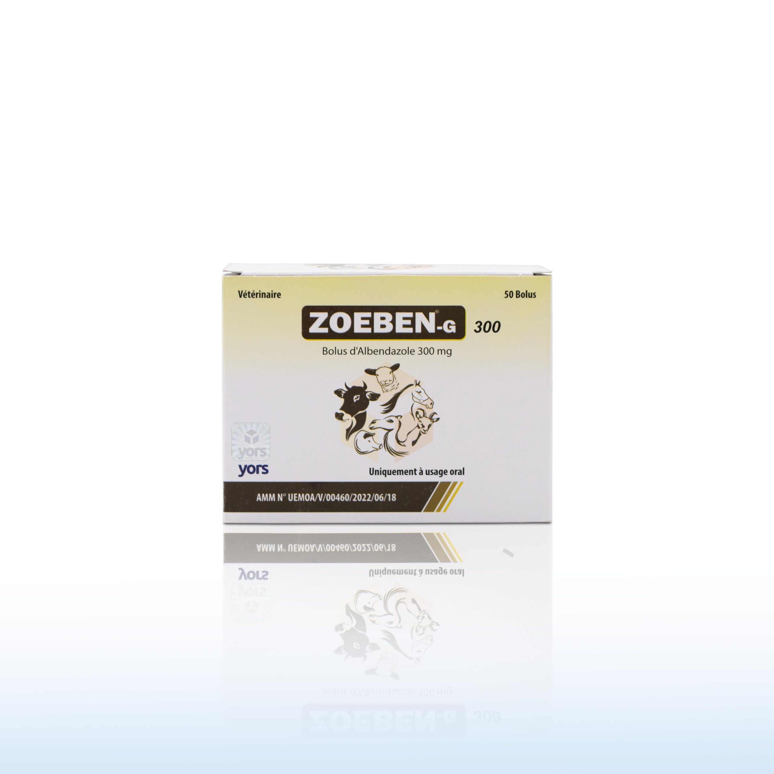 ZOEBEN 300 G/Blister – Image 2