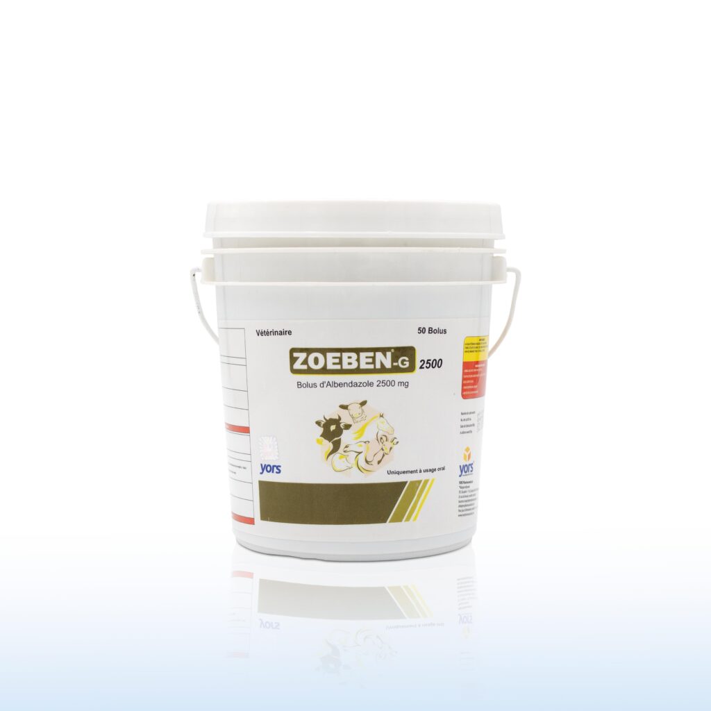 ZOEBEN 2500 G/Blister