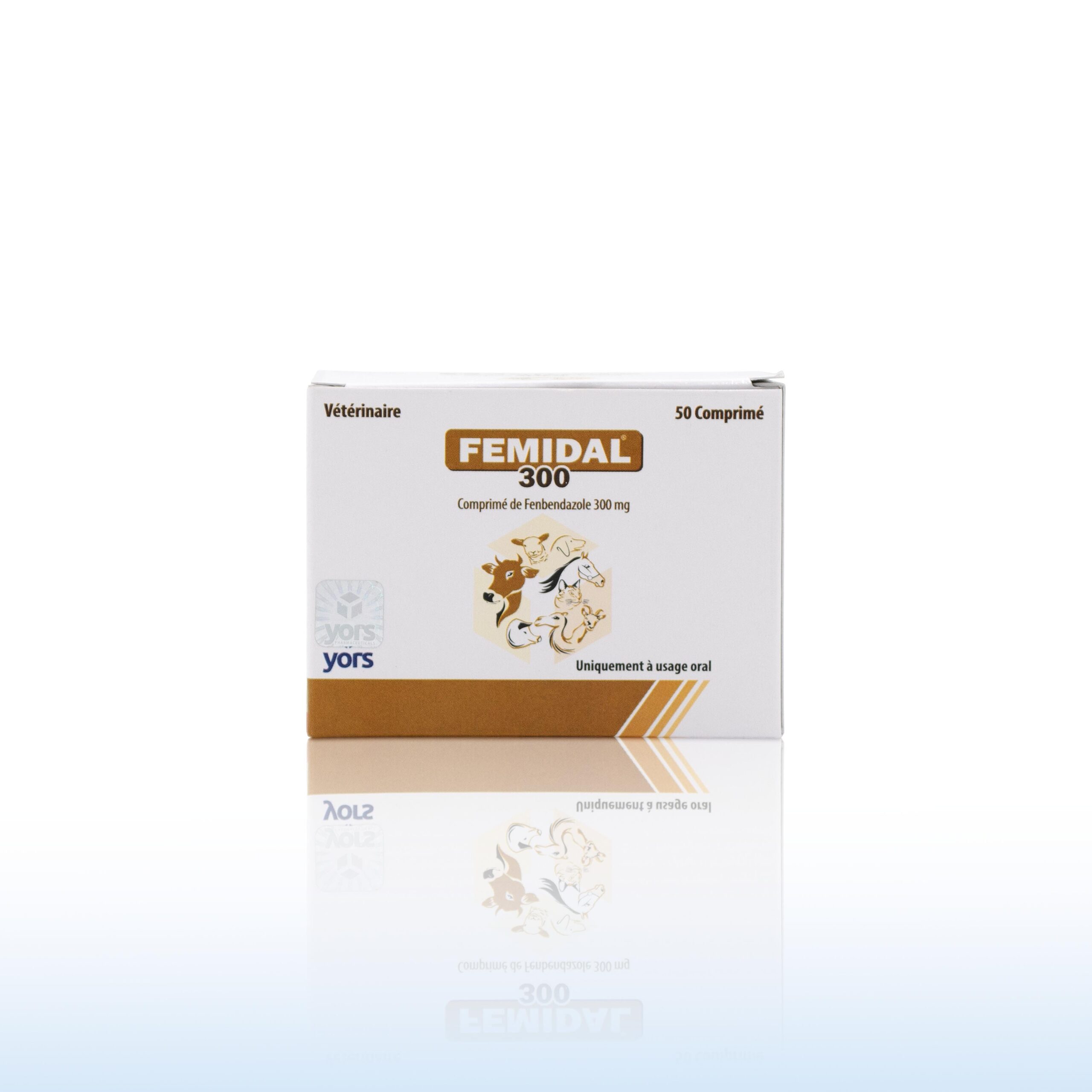 FEMIDAL 300 Bolus – Image 2