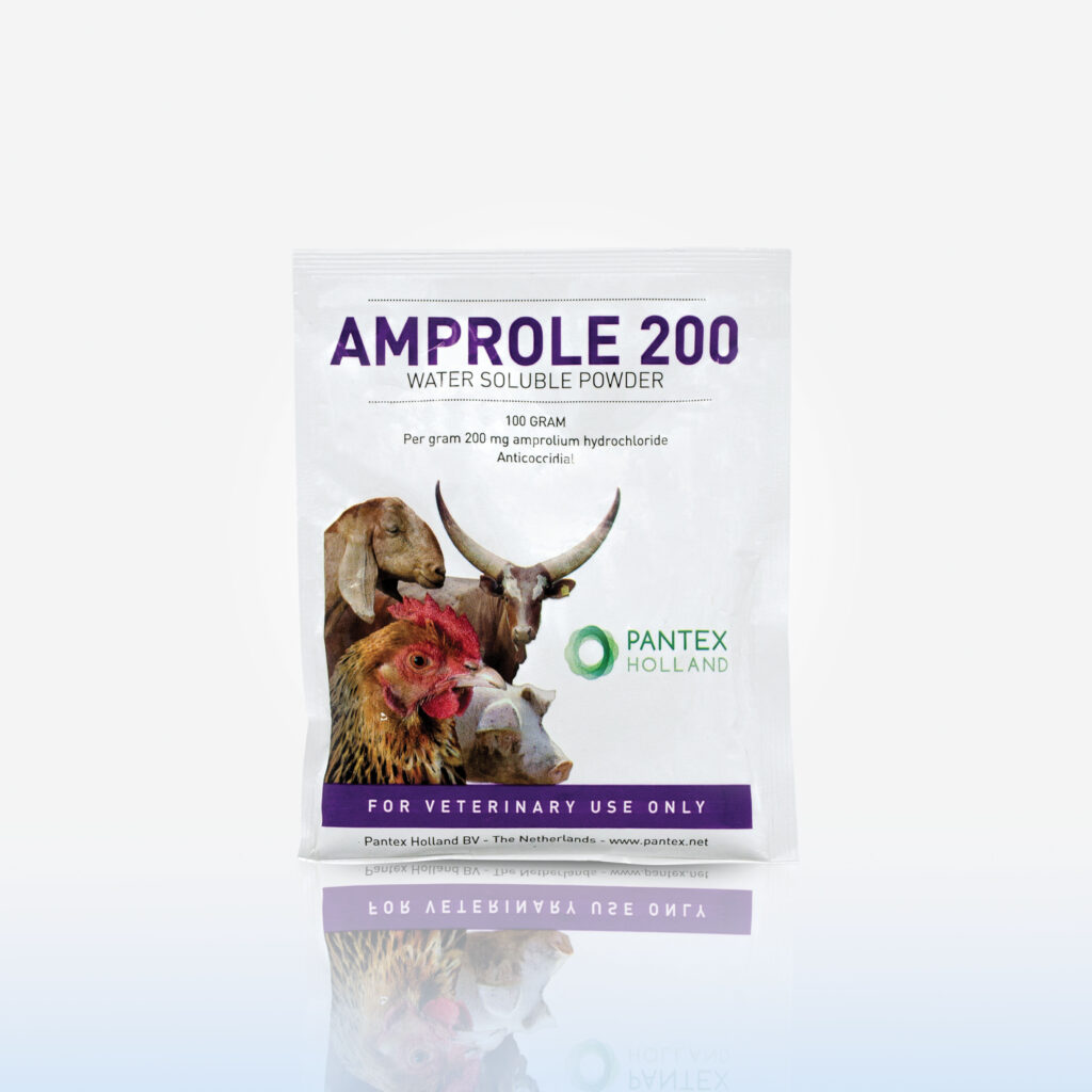 AMPROLE 200 SACHET DE 100 G