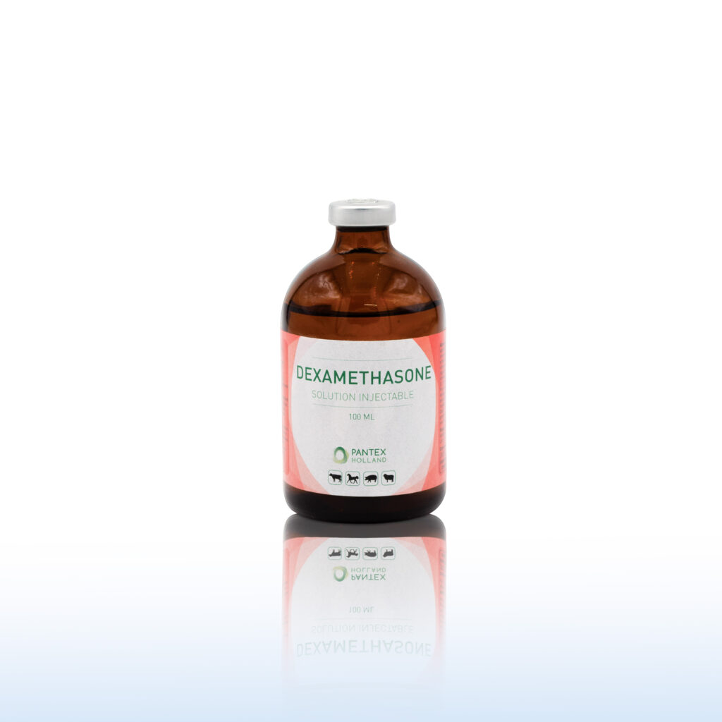DEXAMETHASONE INJ 100ML