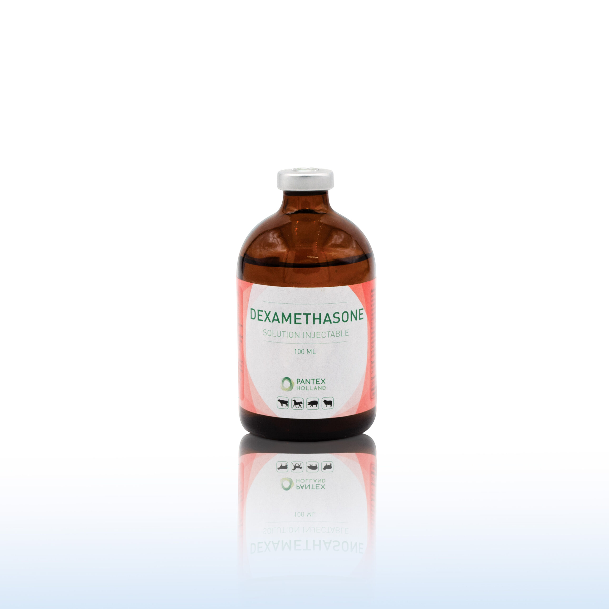 DEXAMETHASONE INJ 100ML