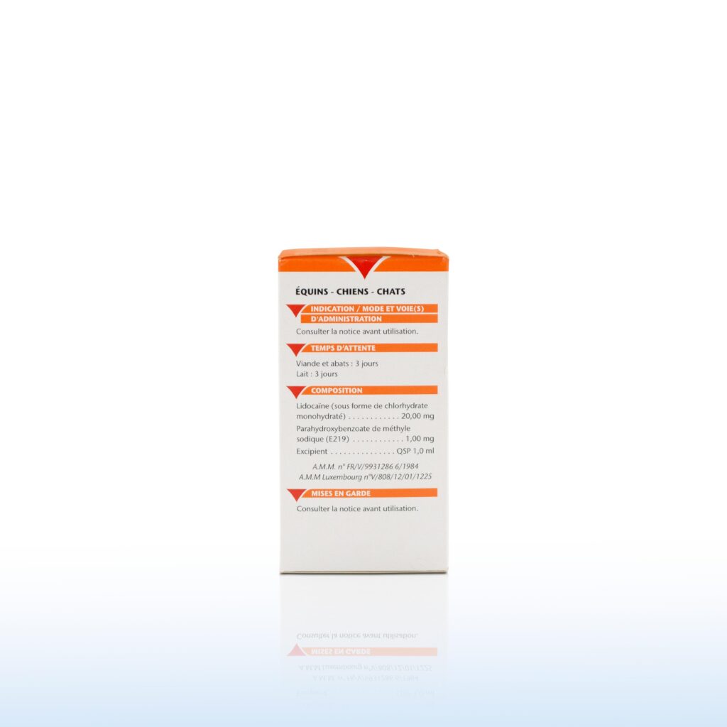 LUROCAINE INJ 100 ML