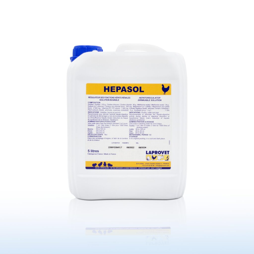 HEPASOL 5L