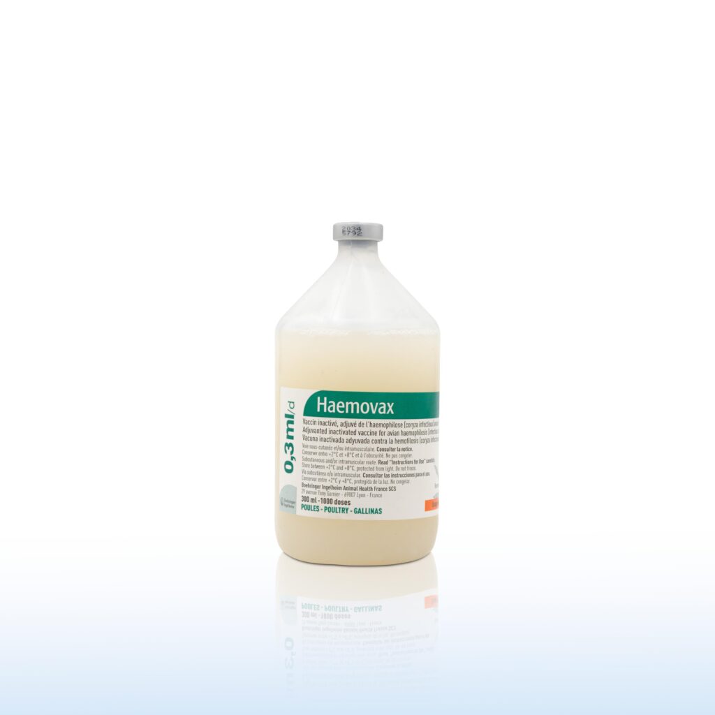 HAEMOVAX 0.3 ML FL DE 1000 doses