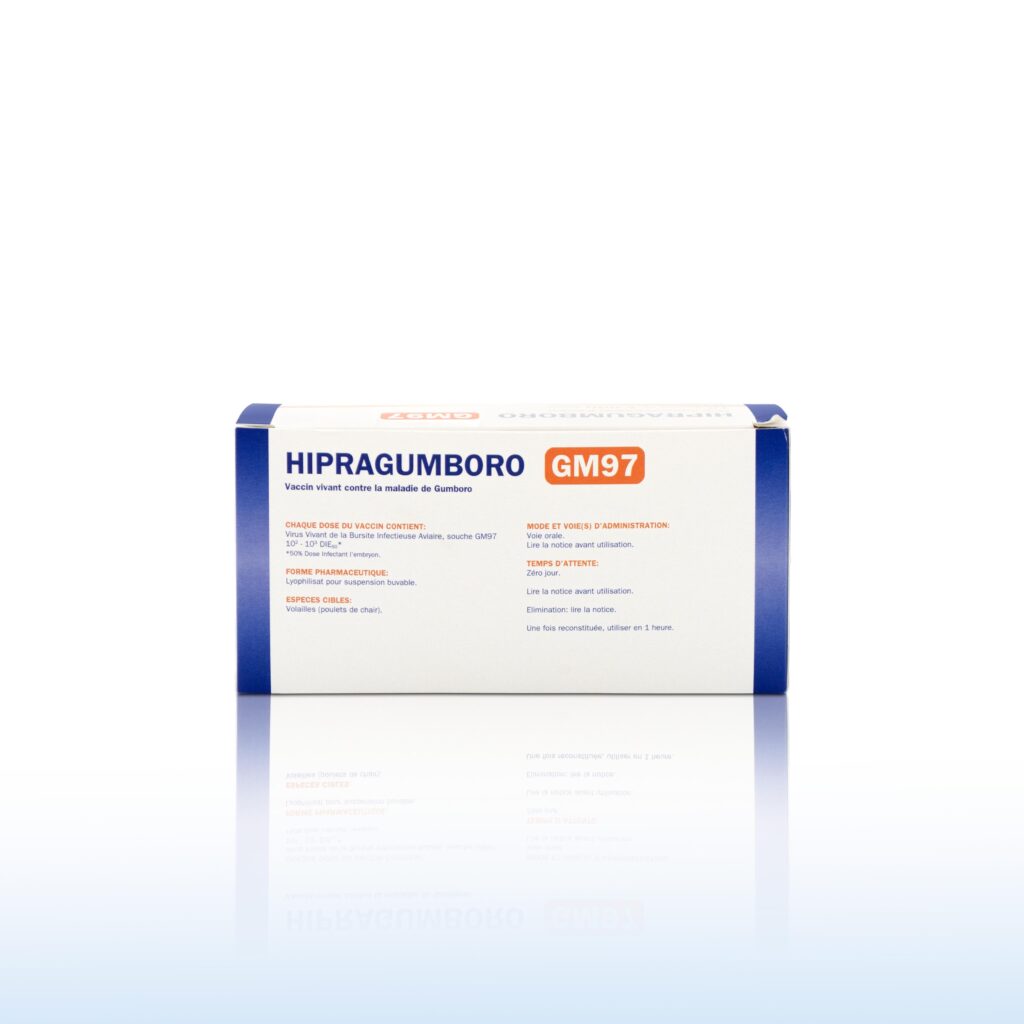HIPRAGUMBORO GM/97 1000 DS