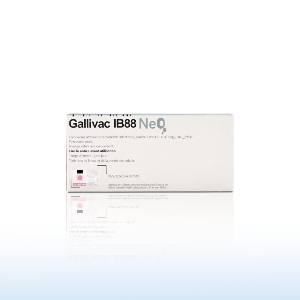 GALLIVAC IB88 NEO 1000 DOSES