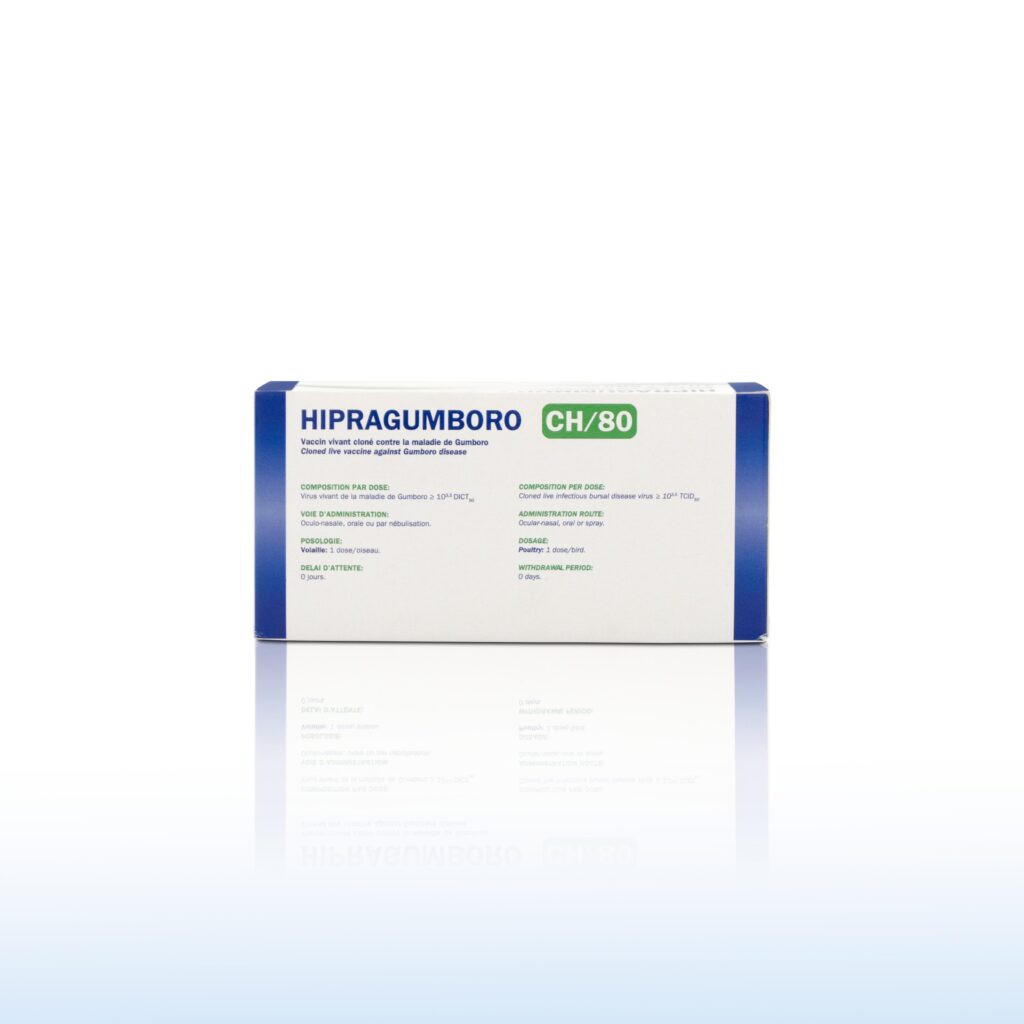 HIPRAGUMBORO CH/80 500 DS