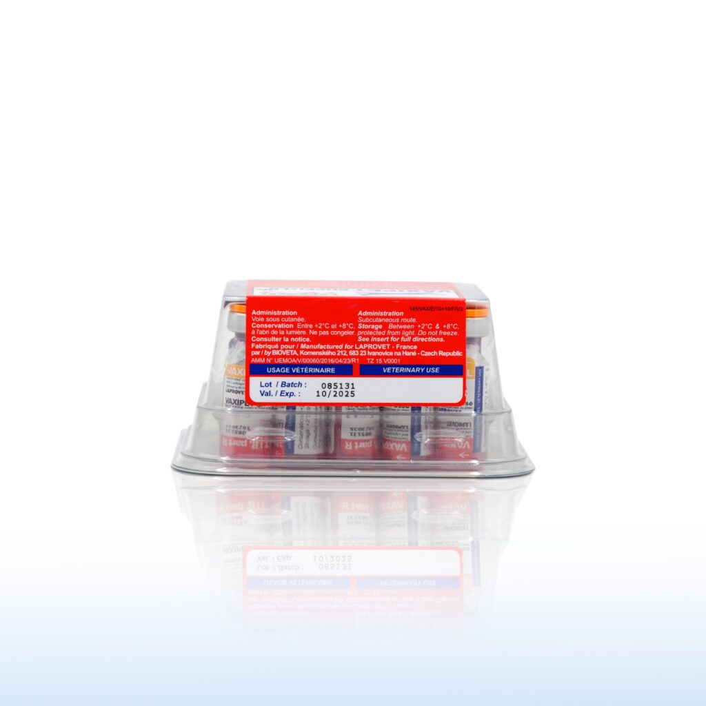 VAXIPET DHPPI+LR