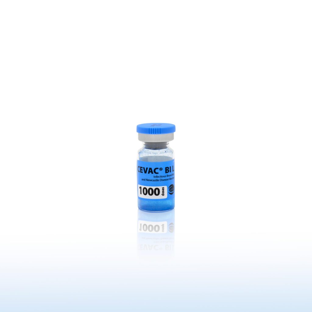 CEVAC BI L 1000 DOSE