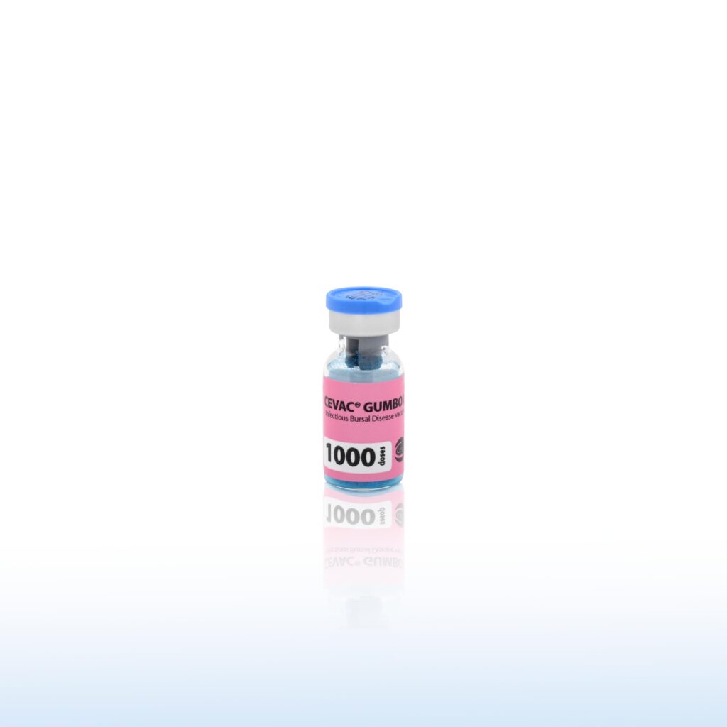 CEVAC GUMBO L 1000 DOSE