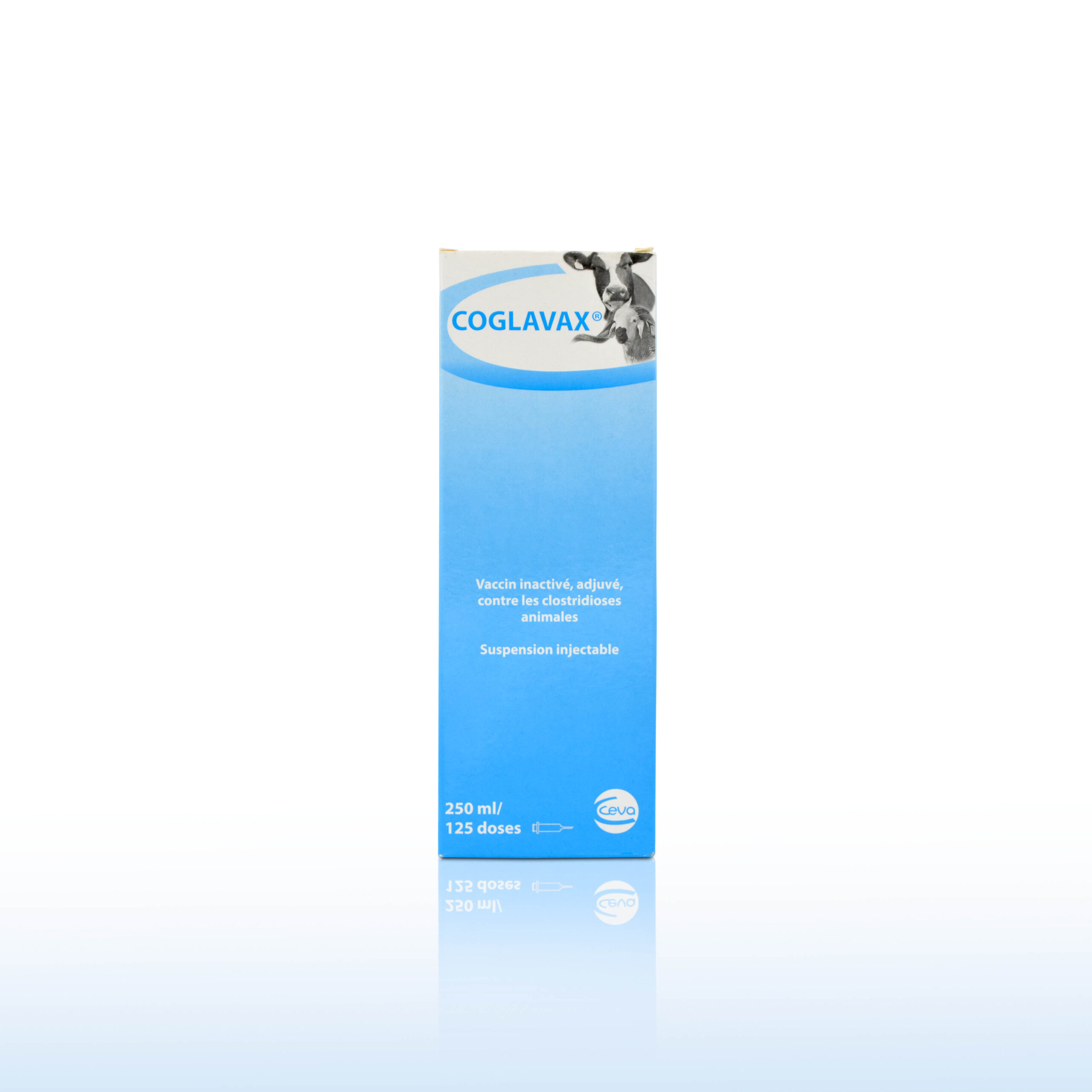 COGLAVAX 250 ML – Image 2