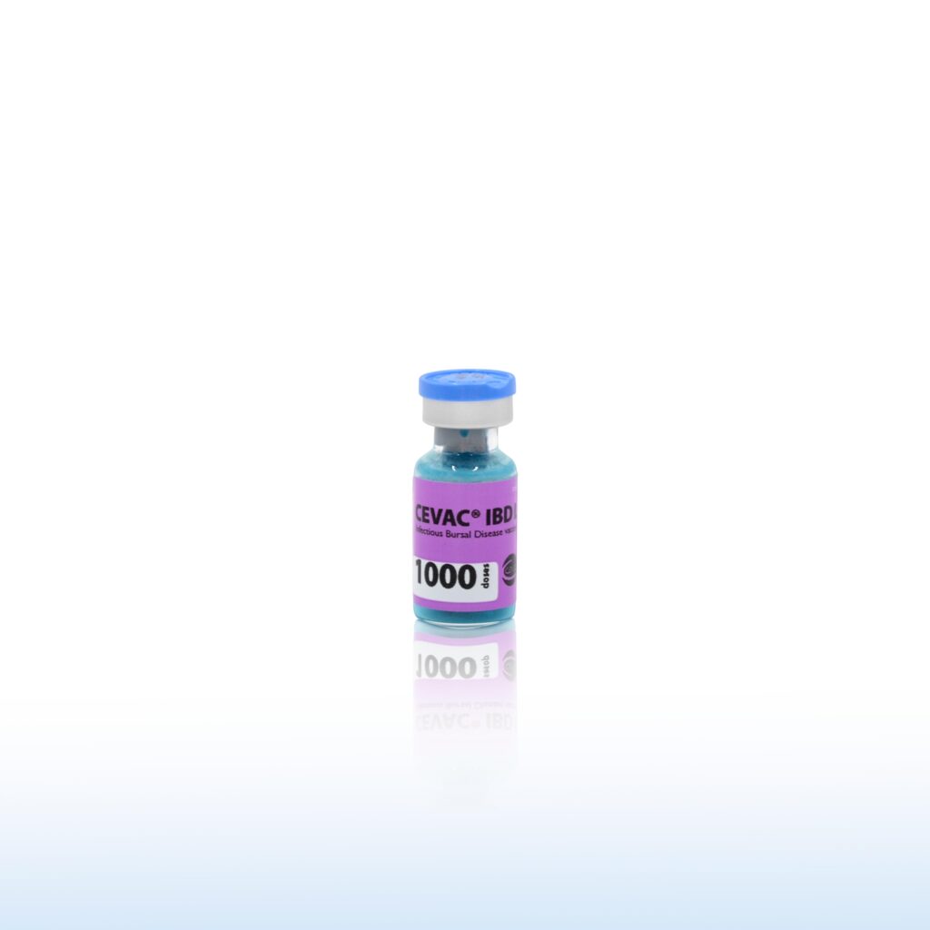 CEVAC IBD L 1000 Doses
