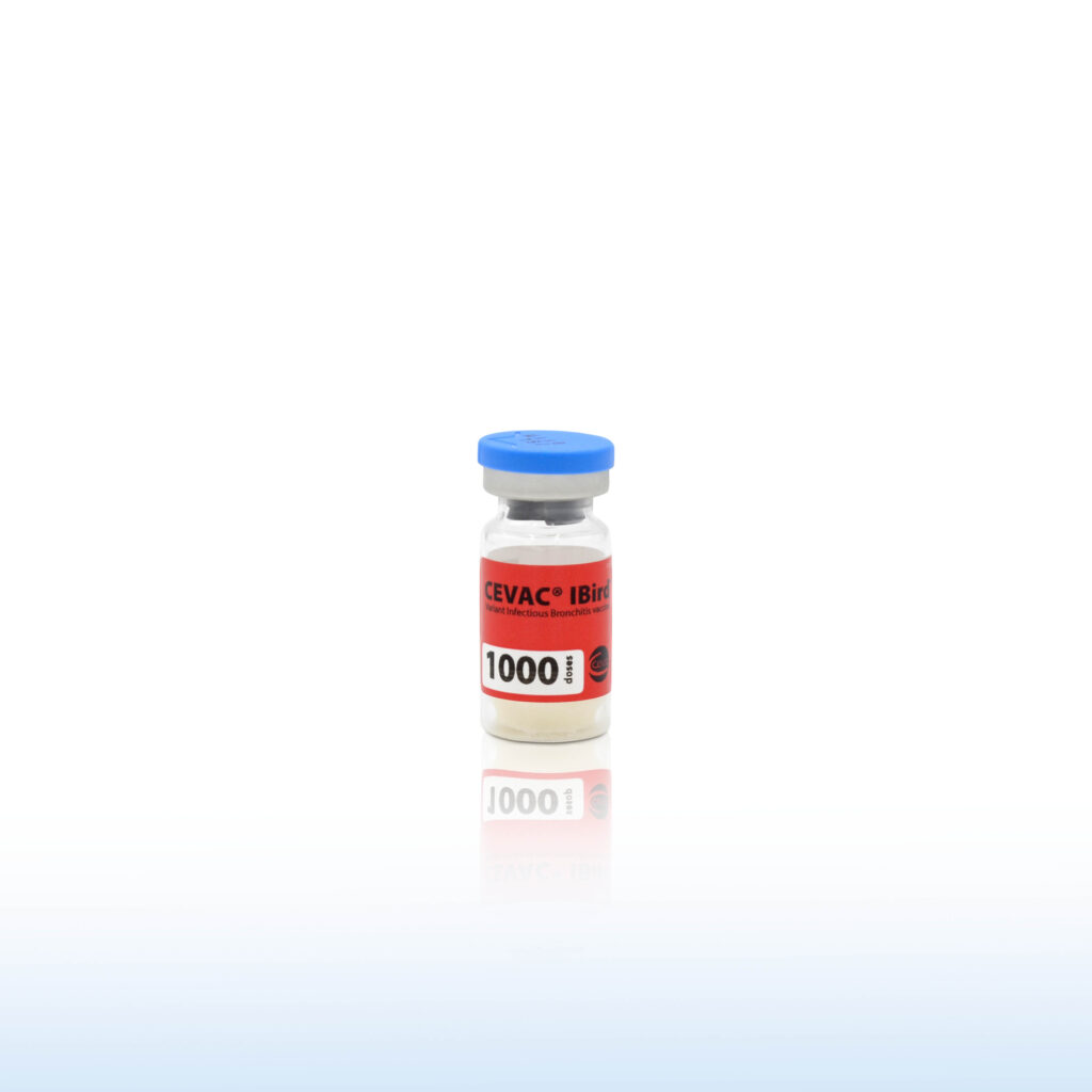 CEVAC IBIRD 1000 Doses