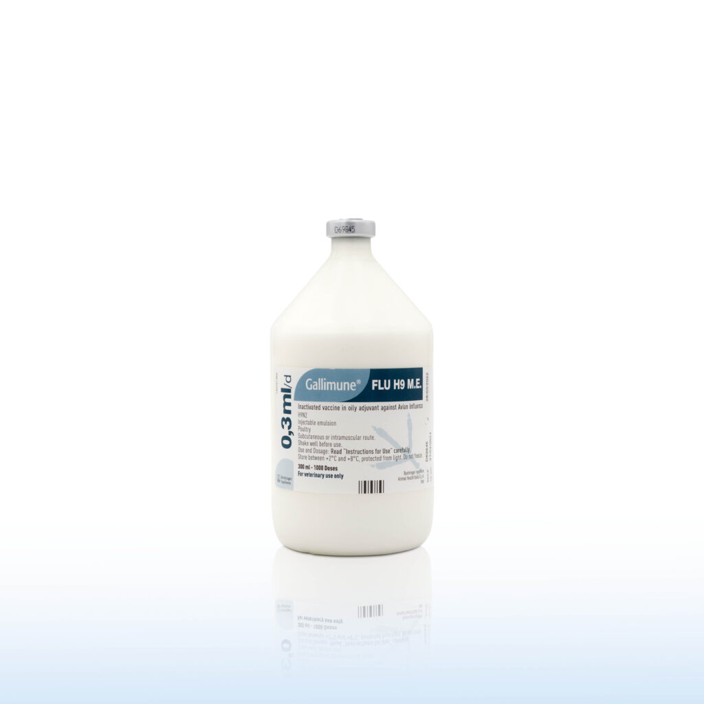 GALLIMUNE FLU H9 1000 Doses
