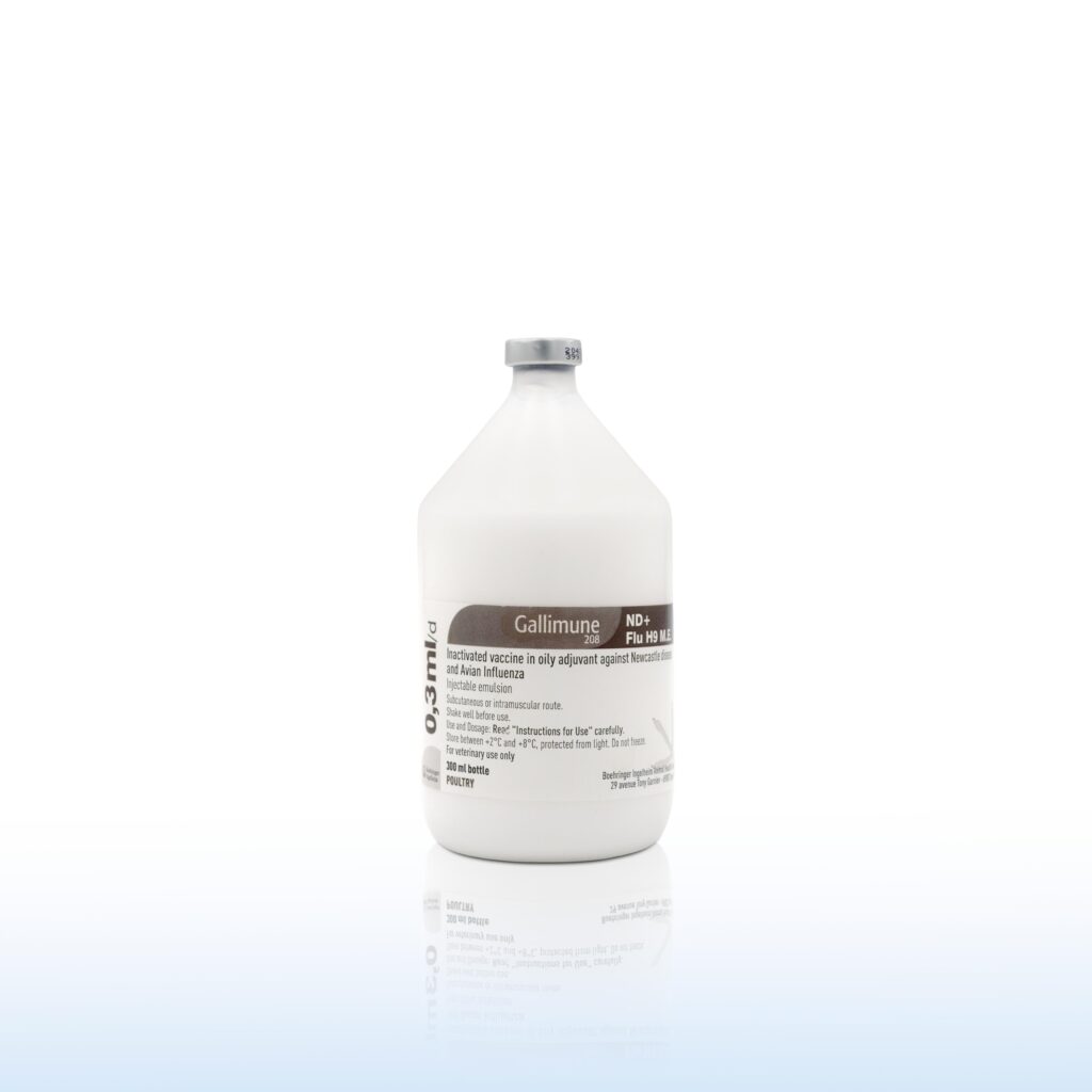 GALLIMUNE 208 ND/FLU H9 1000doses