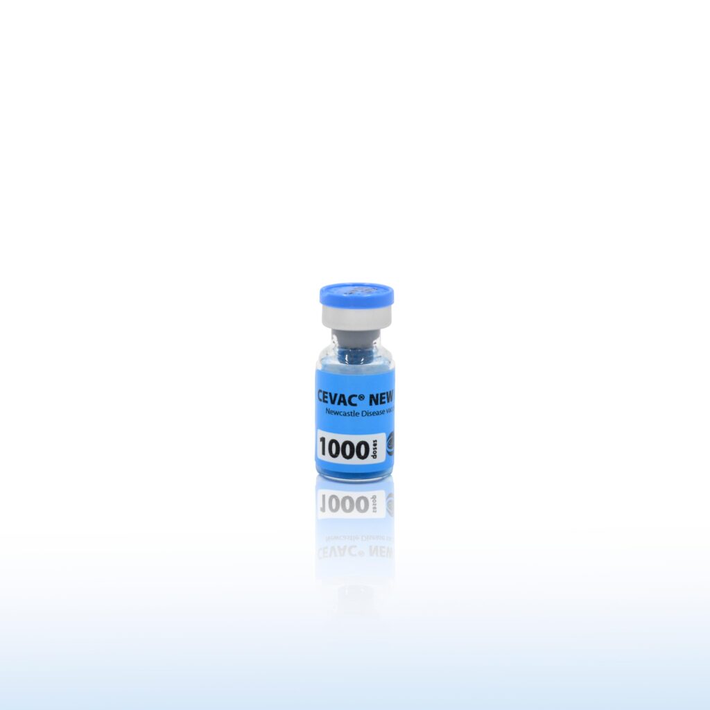 CEVAC NEW L 1000 Doses