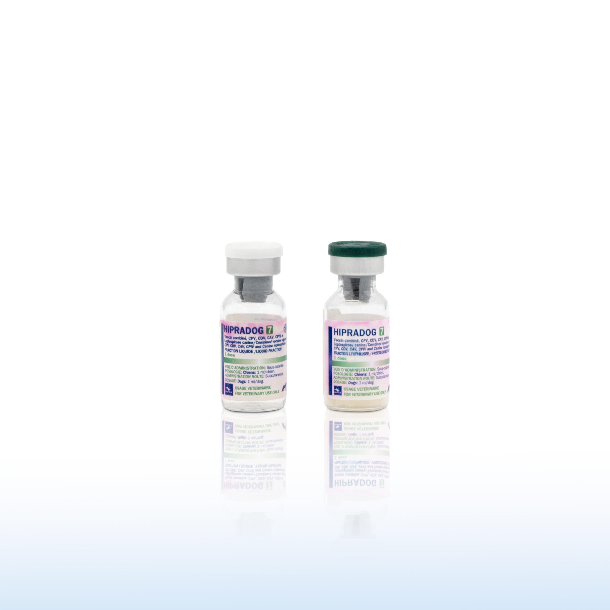HIPRADOG-7 1 dose – Image 2