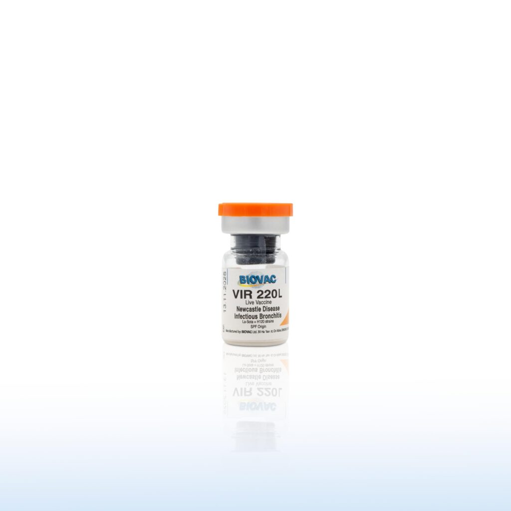 VIR 220 Lasota/H120 1000 Doses