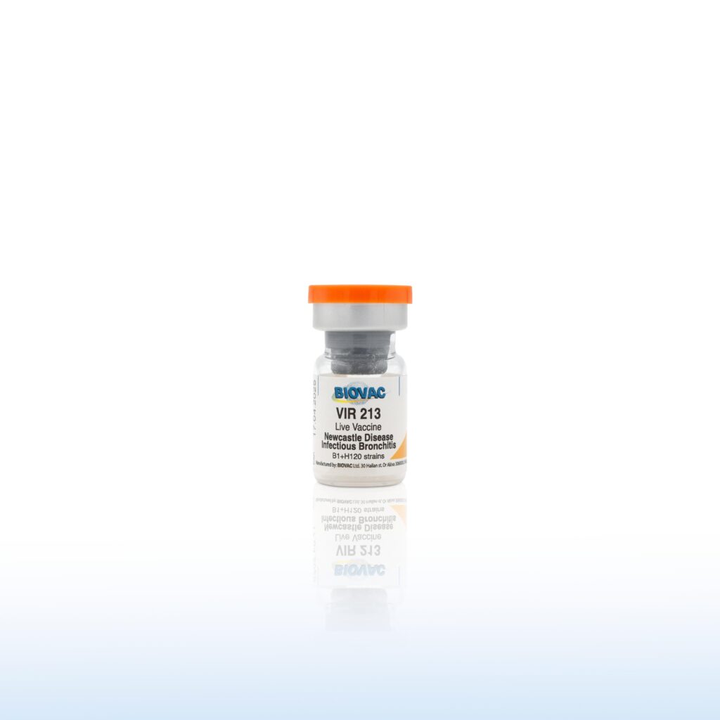 VIR 213 HB1/H120 1000 Doses