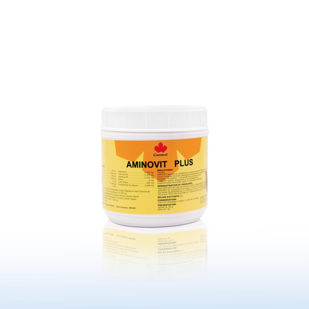 AMINOVIT PLUS 1KG