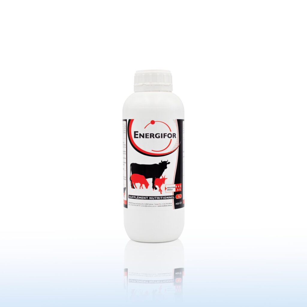 ENERGIFOR FL 1L