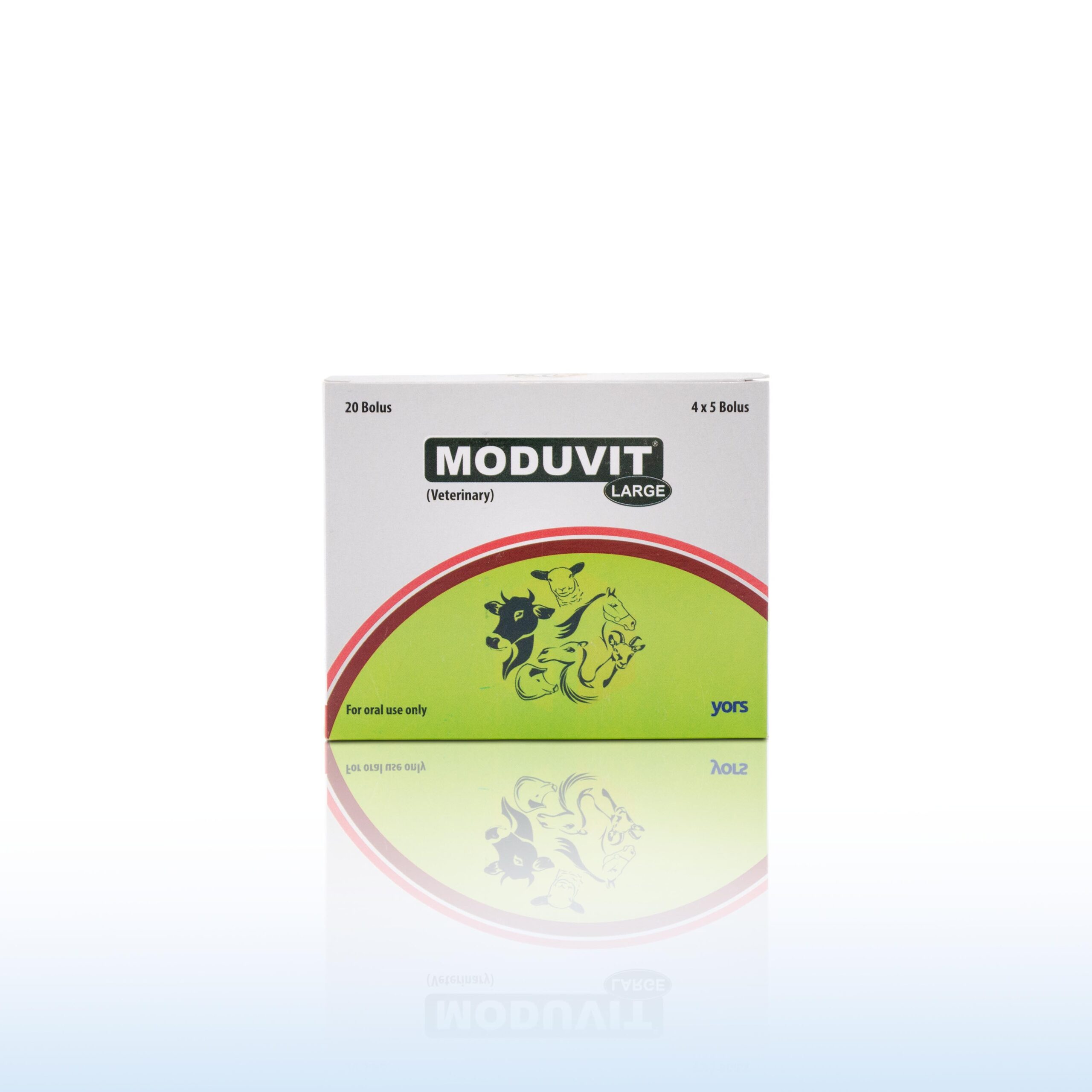 MODUVIT Large (20 Bolus) – Image 3
