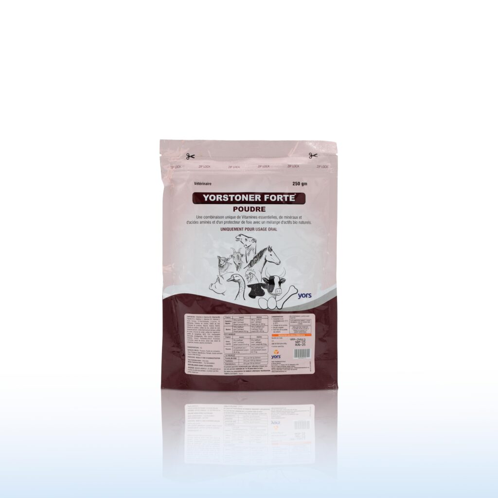 YORSTONER Forte 250 G