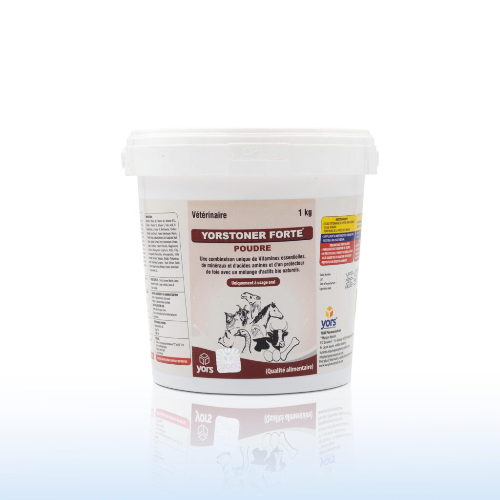 YORSTONER Forte 1KG