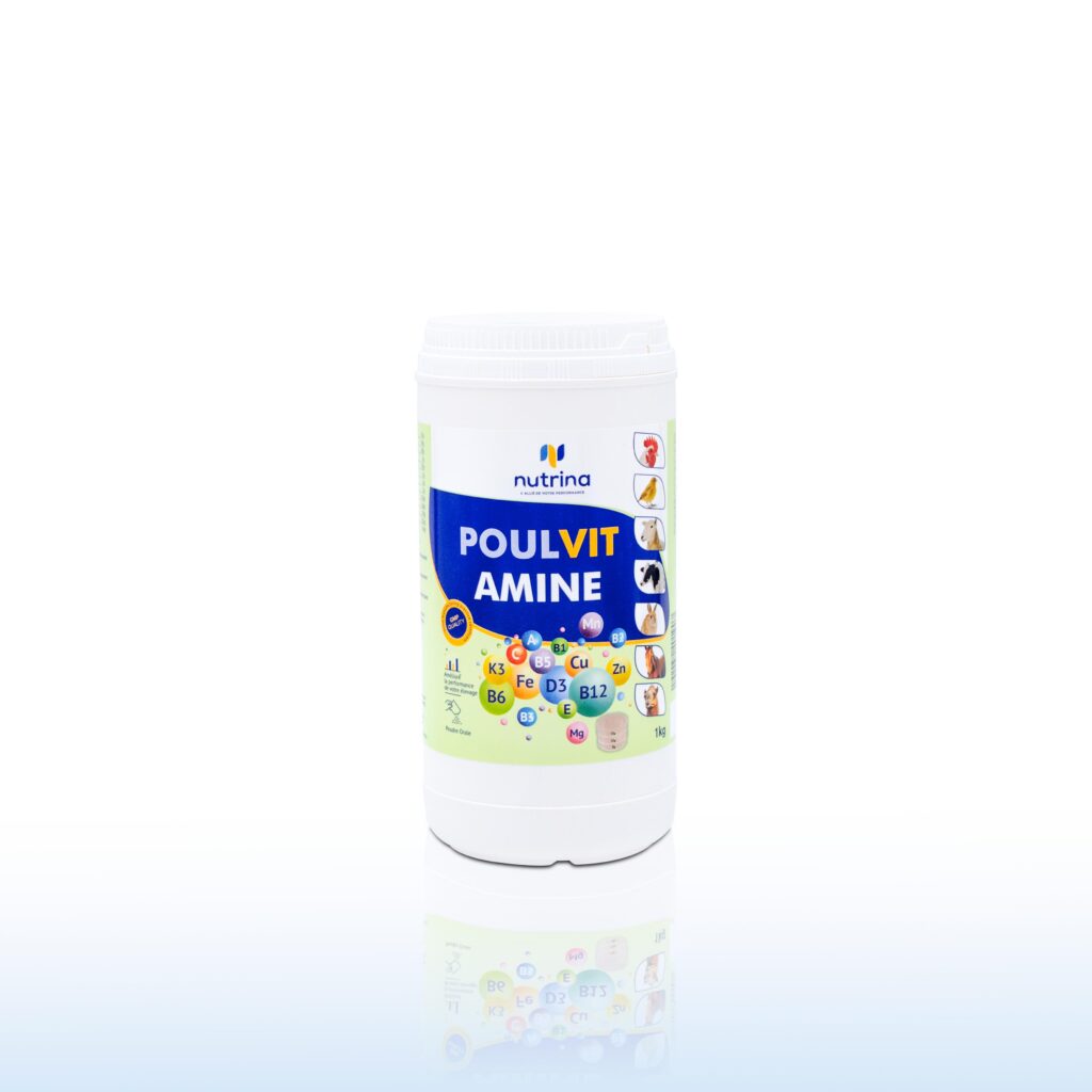 POULVITAMINE POT 1 KG